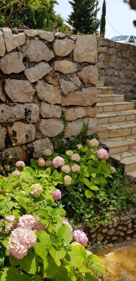 Kuca Za Odmor Jelena Villa Starigrad Paklenica Exterior photo