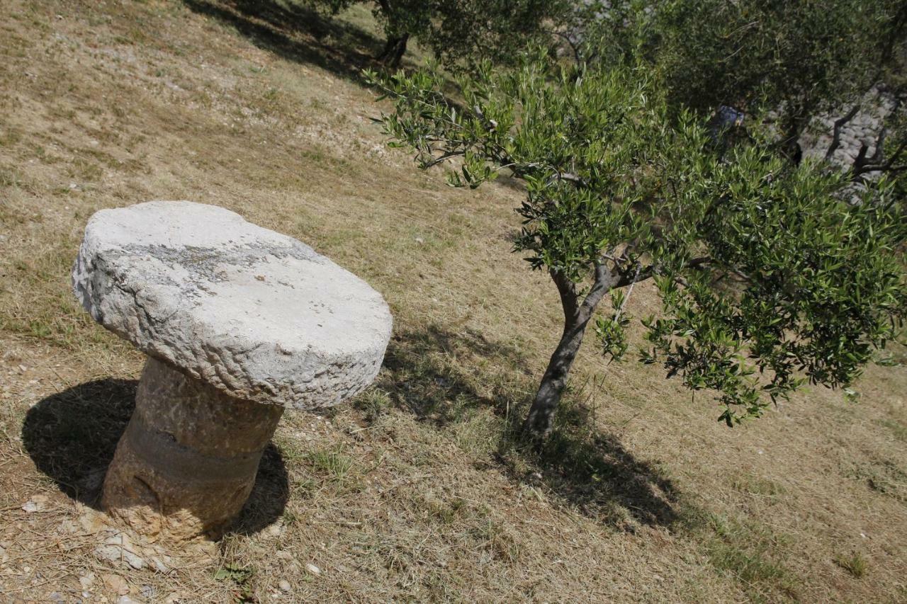 Kuca Za Odmor Jelena Villa Starigrad Paklenica Exterior photo